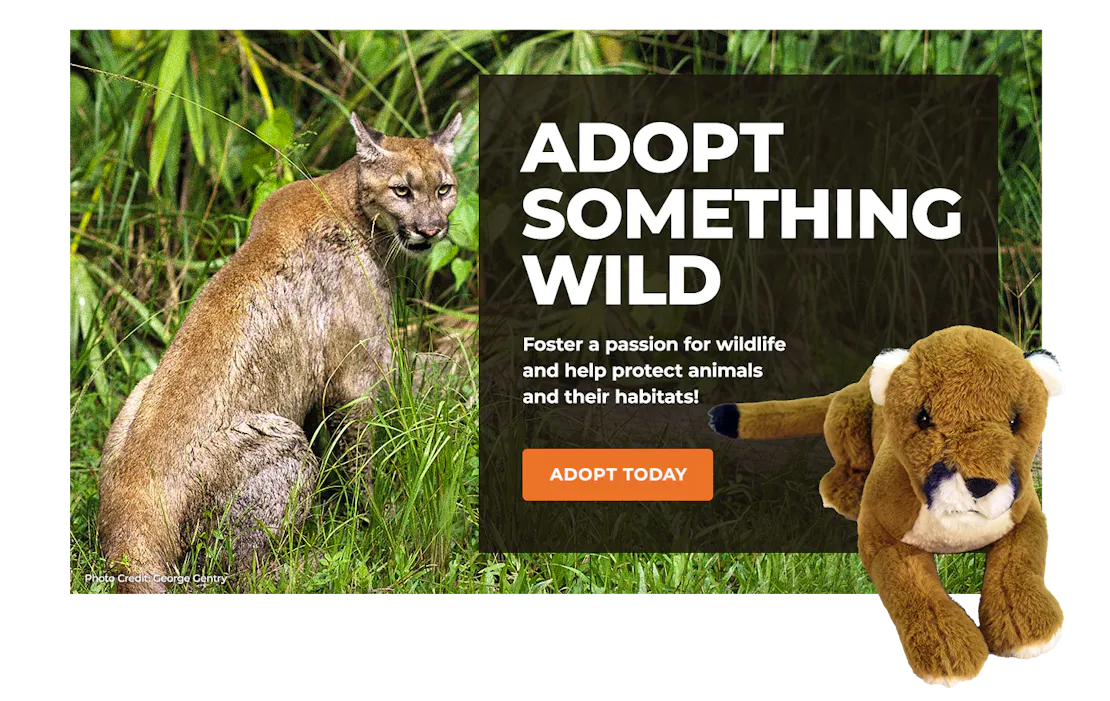 panther image with adoption plush panther overlaying block with text promoting symbolic adoption
