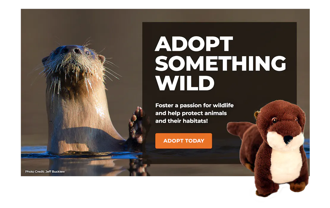 river otter image with adoption plush river otter overlaying block with text promoting symbolic adoption