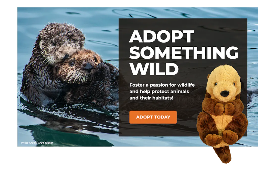 sea otter image with adoption plush sea otter overlaying block with text promoting symbolic adoption