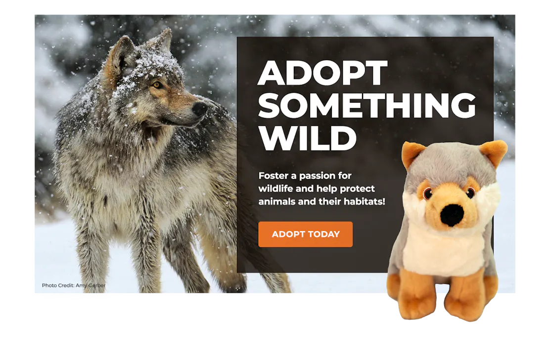 wolf image with adoption plush wolf overlaying block with text promoting symbolic adoption