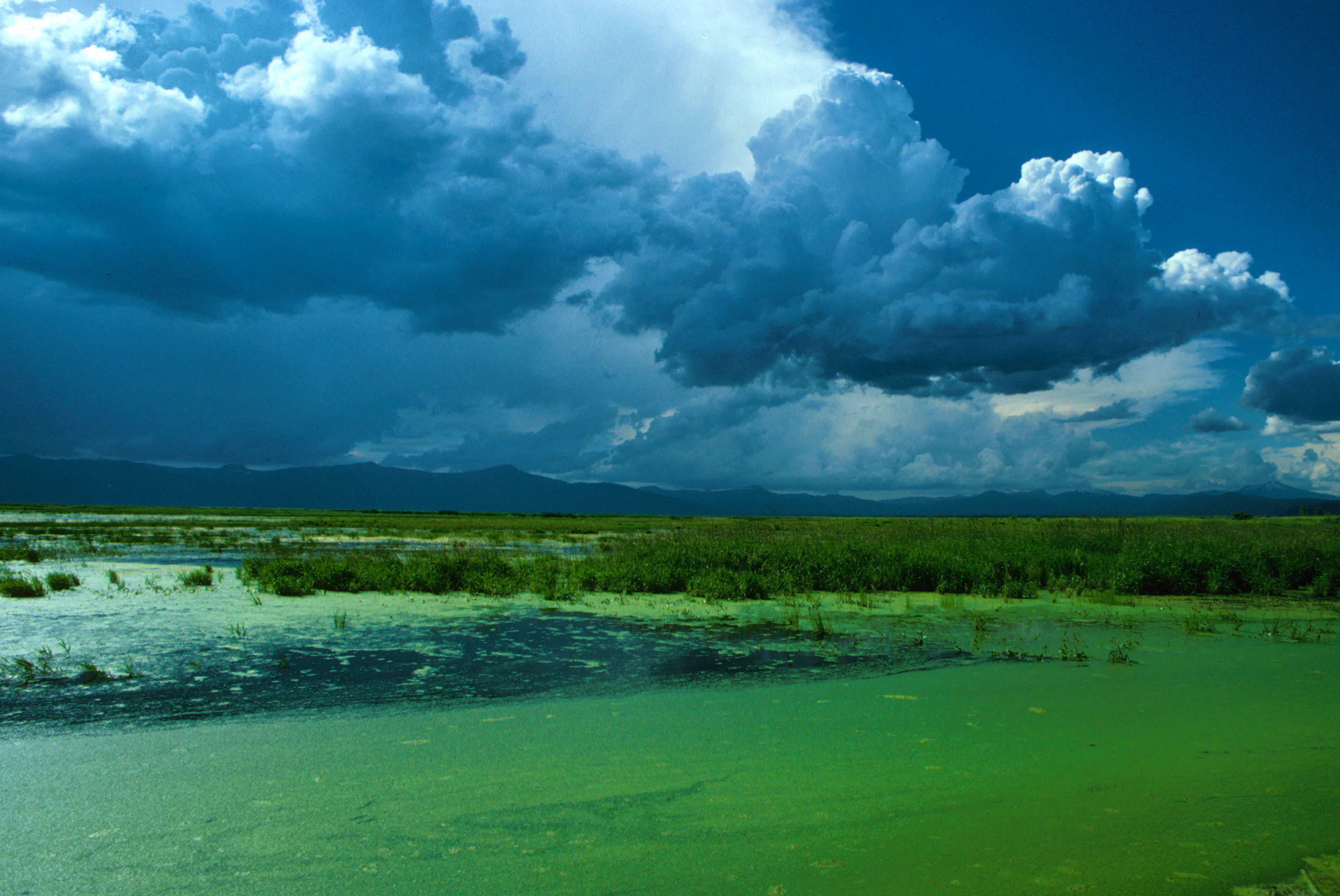 The landscape of the Klamath Basin, the watershed of the Klamath River in southern Oregon and northern California.