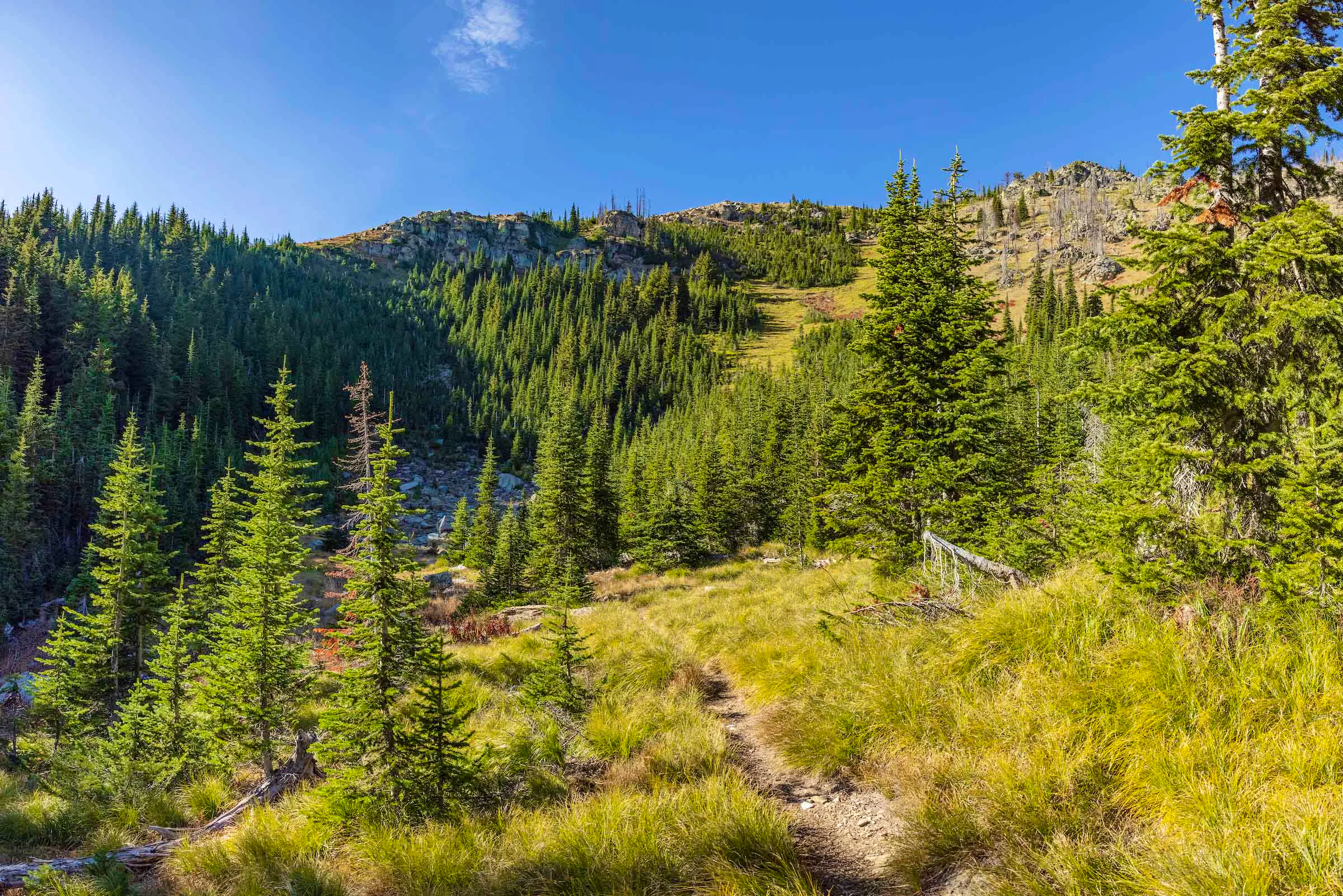 Trails in Montana 