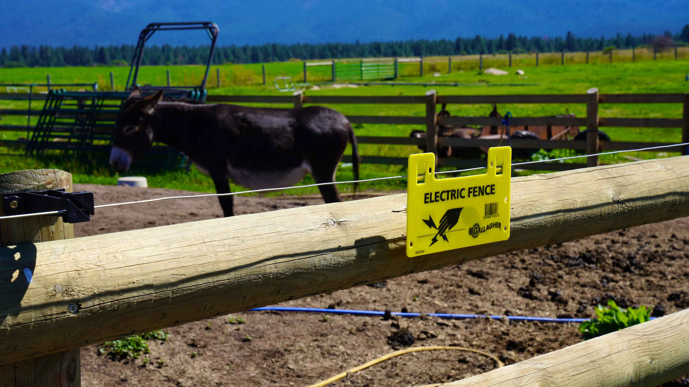 Electric Fence sign with donkey in the background