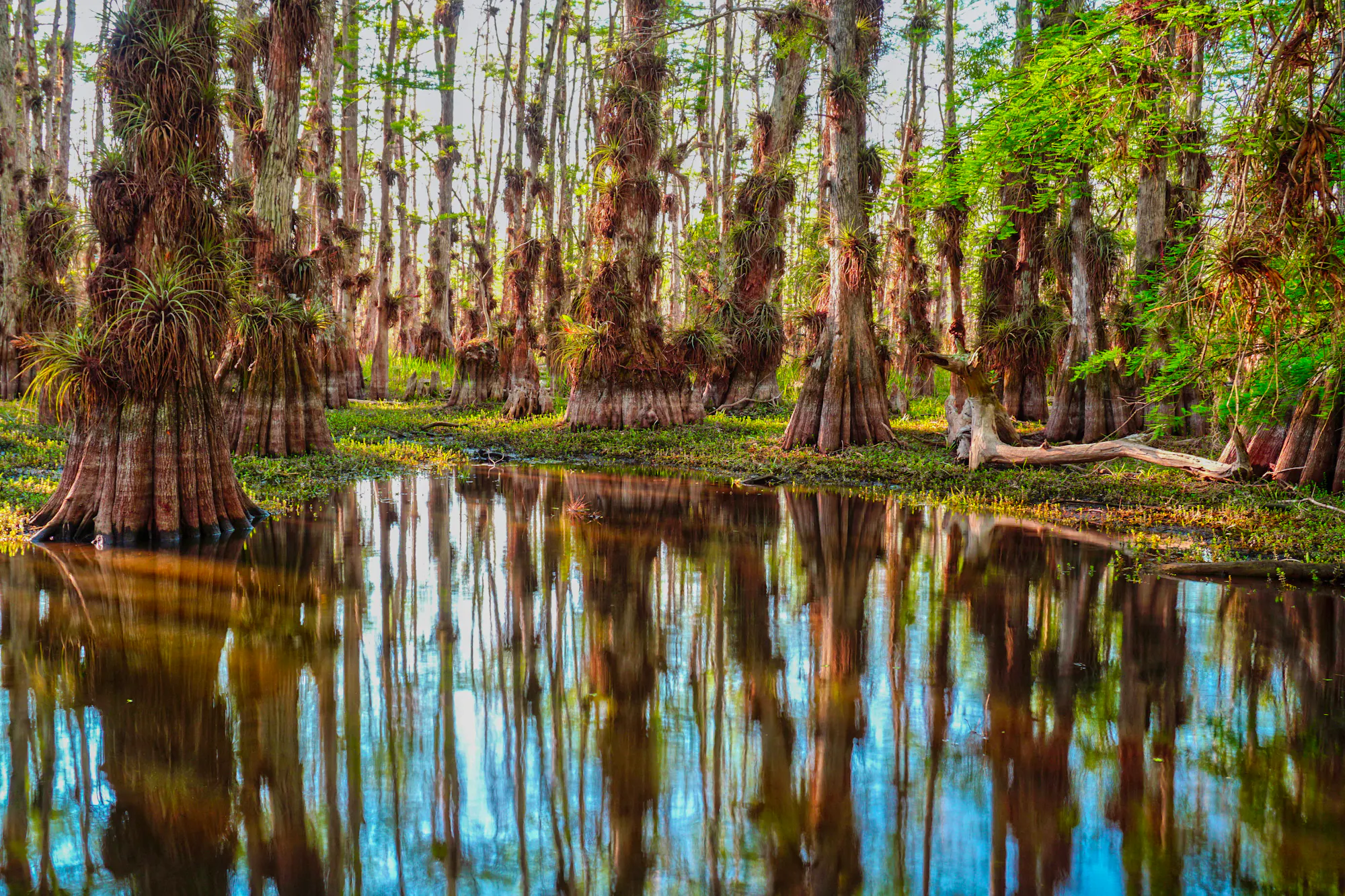 Big Cypress National Park