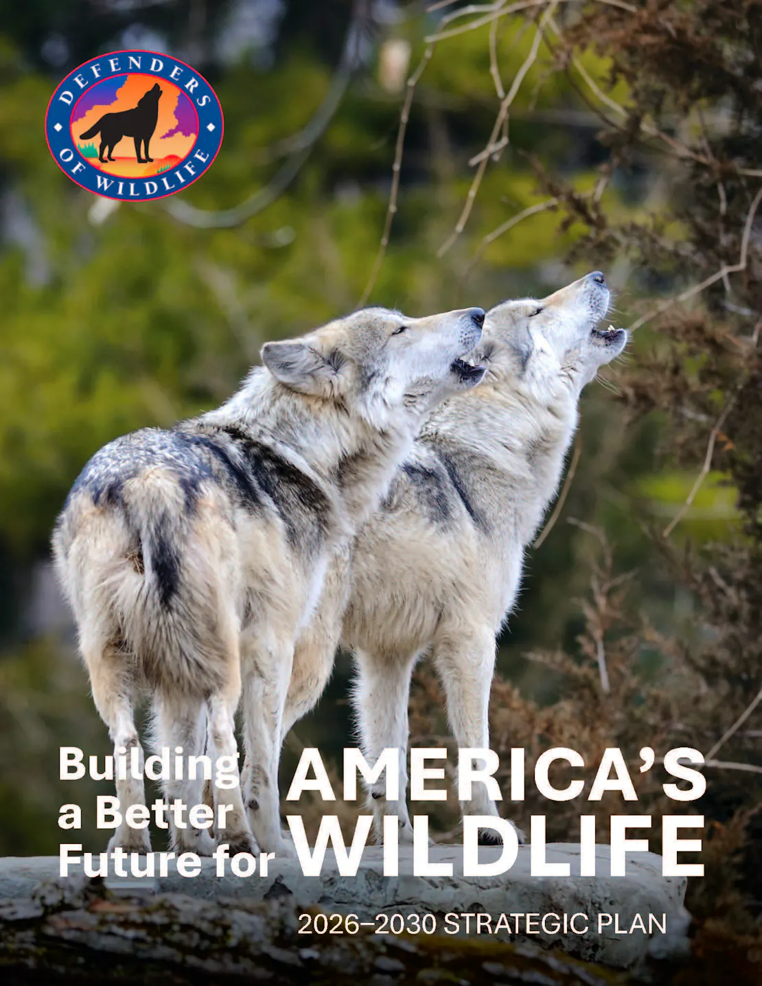 Two wolves howling on Defenders of Wildlife 2026-2030 Strategic Plan Cover. Building a Better Future for America's Wildlife.