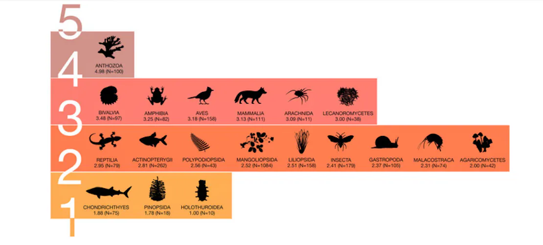Ranked chart of average number of biodiversity threats (1–5 scale) affecting different taxonomic classes, with sample sizes (N). Highest: Anthozoa 4.98 (N=100). Tier 3–4: Bivalvia, Amphibia, Aves, Mammalia, Arachnida, Lecanoromycetes (scores 3.00–3.48). Tier 2–3: Reptilia, Actinopterygii, Polypodiopsida, Mangoliopsida, Liliopsida, Insecta, Gastropoda, Malacostraca, Agaricomycetes (scores 2.00–2.95). Lowest: Chondrichthyes, Pinopsida, Holothuroidea (scores 1.00–1.88).