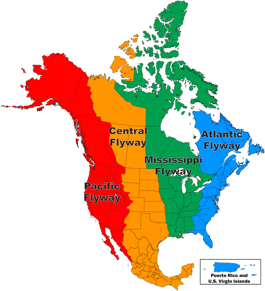 A map of the U.S. showing the four migratory bird flyways.