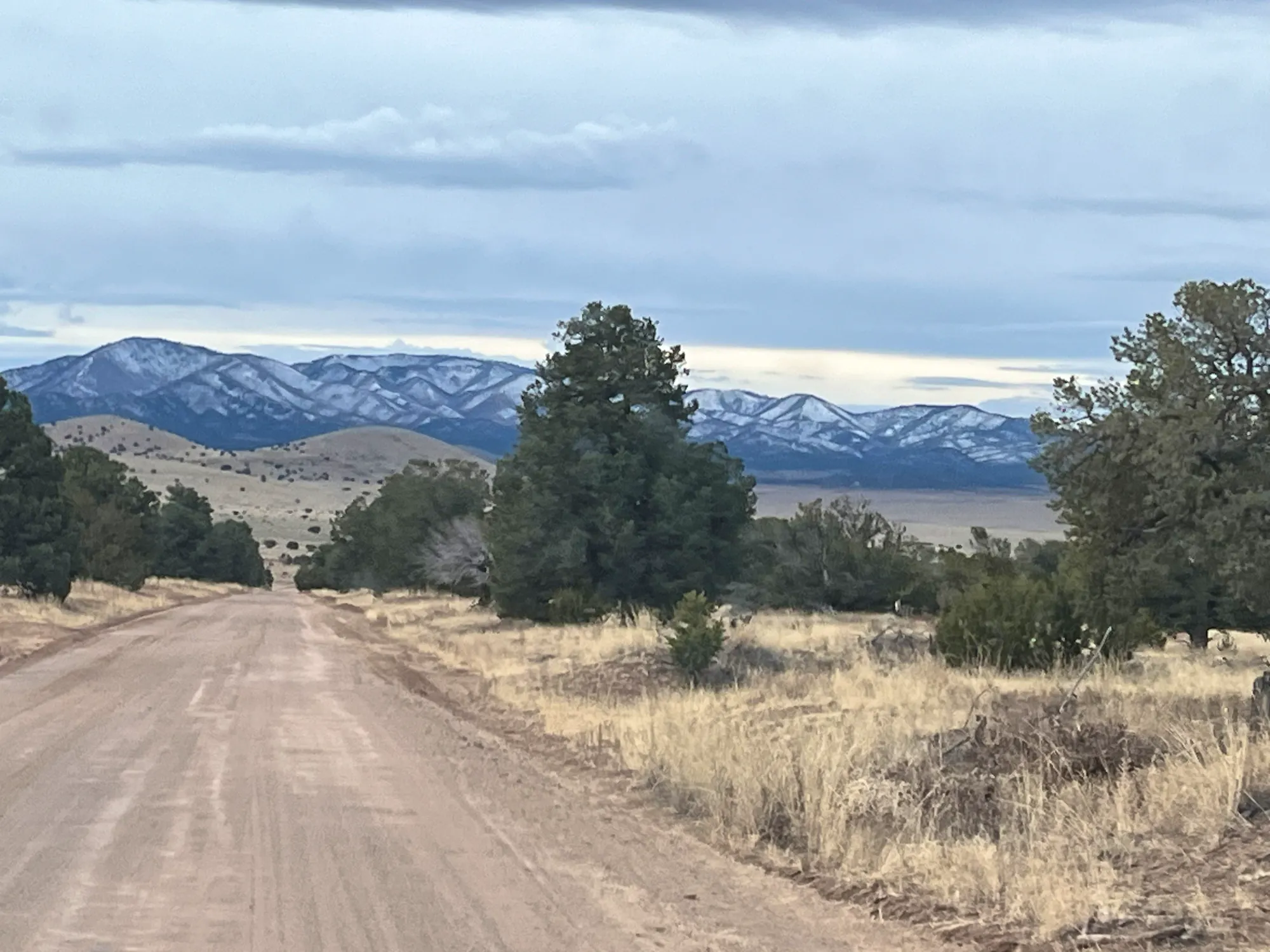 Dirt Road Cibola National Forest
