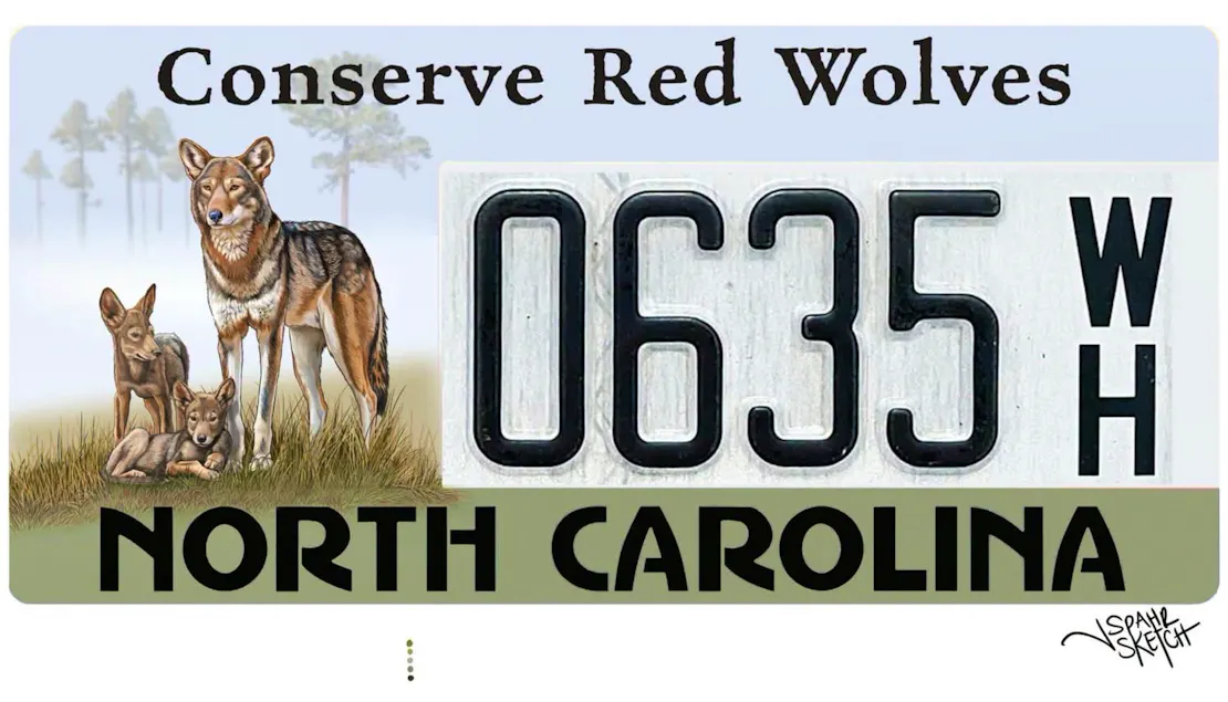 A mock-up of what the Red Wolf License plate will look like.