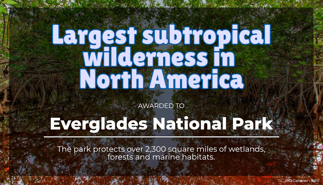 A graphic that says "Largest subtropical wilderness in North America - Awarded to Everglades National Park! The park protects over 2,300 square miles of wetlands, forests and marine habitats."