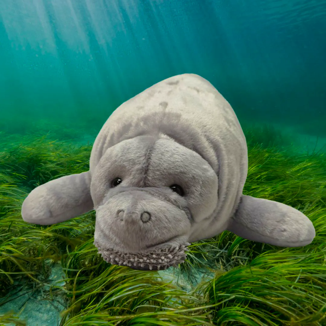 Melody the Manatee plush with habitat background