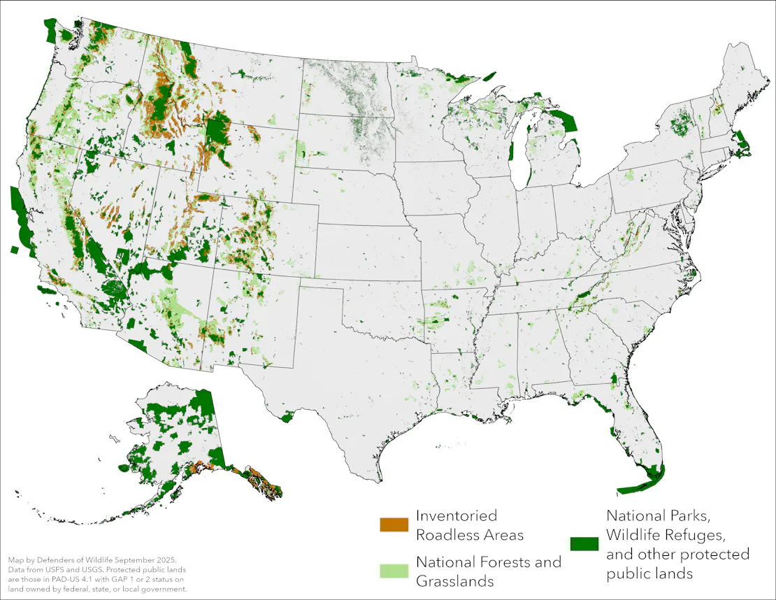 Map of the United States showing the distribution of inventoried roadless areas, national forests and grasslands, and national parks, wildlife refuges and other protected public lands, with protection concentrated in the western states and Alaska. Data from USFS and USGS, September 2025