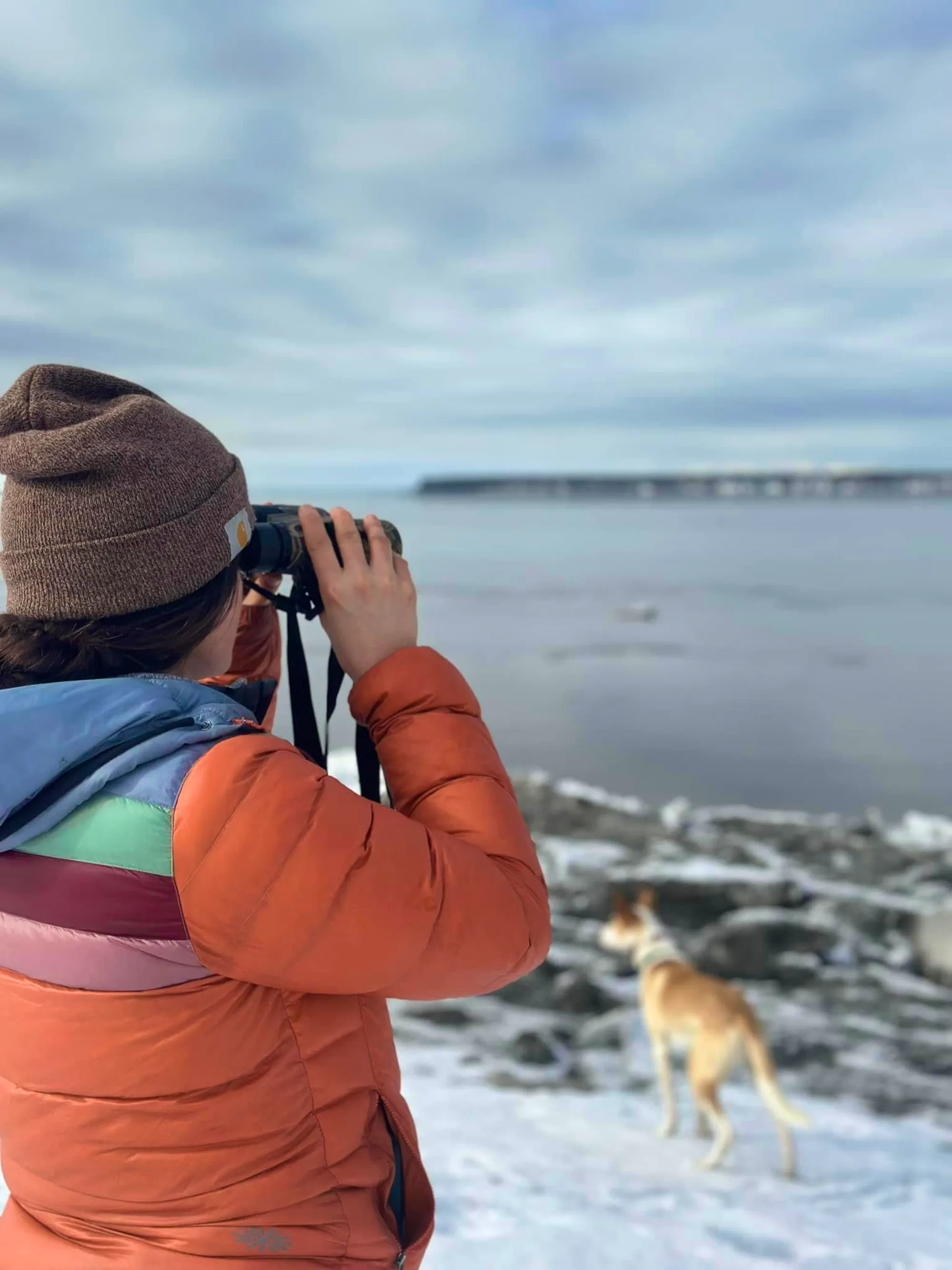 Defenders Alaska Representative, Ragen, stands at the snowy shore looking for Cook Inlet beluga whales in Anchorage, AK, through binoculars.