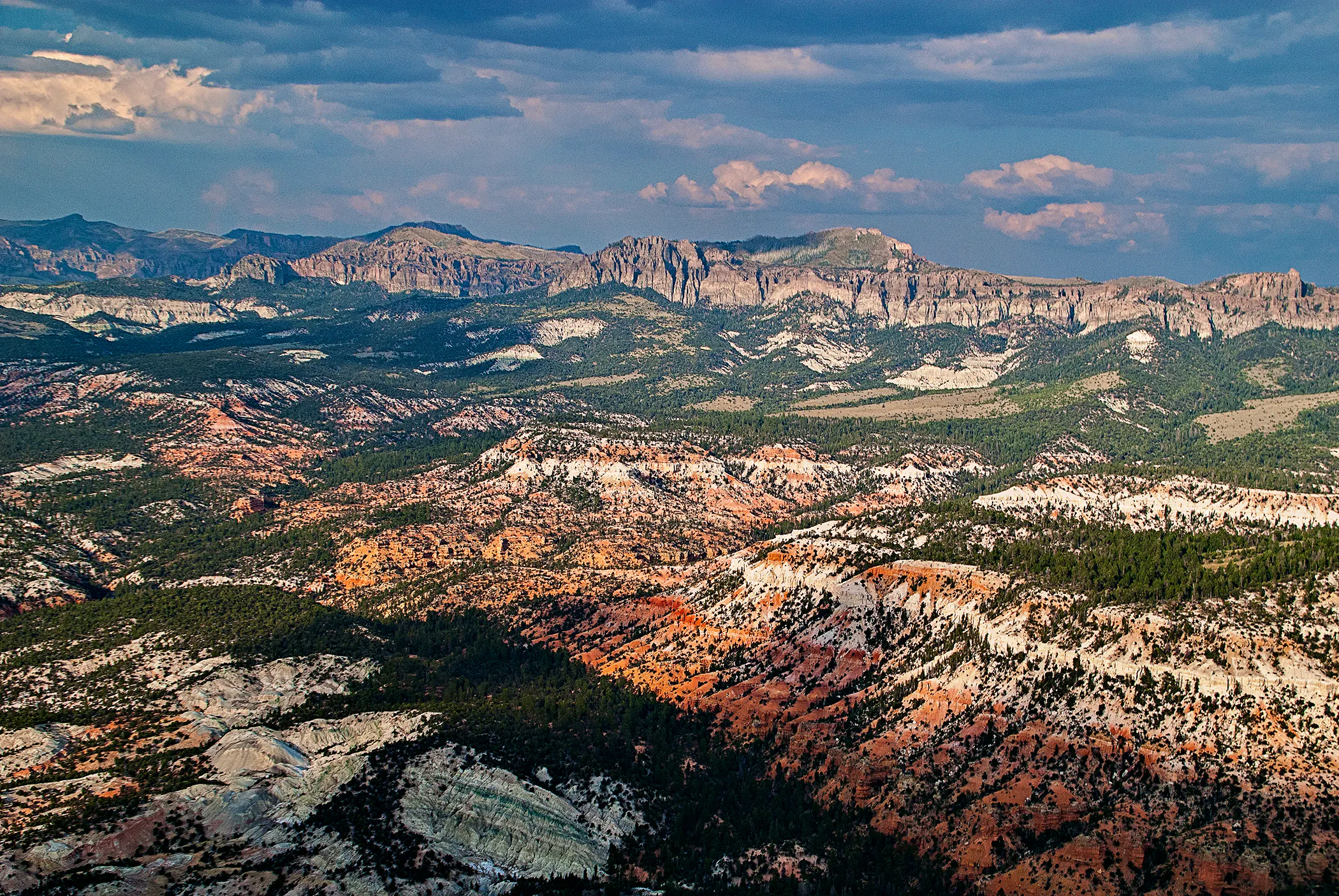 Dixie National Forest - Utah