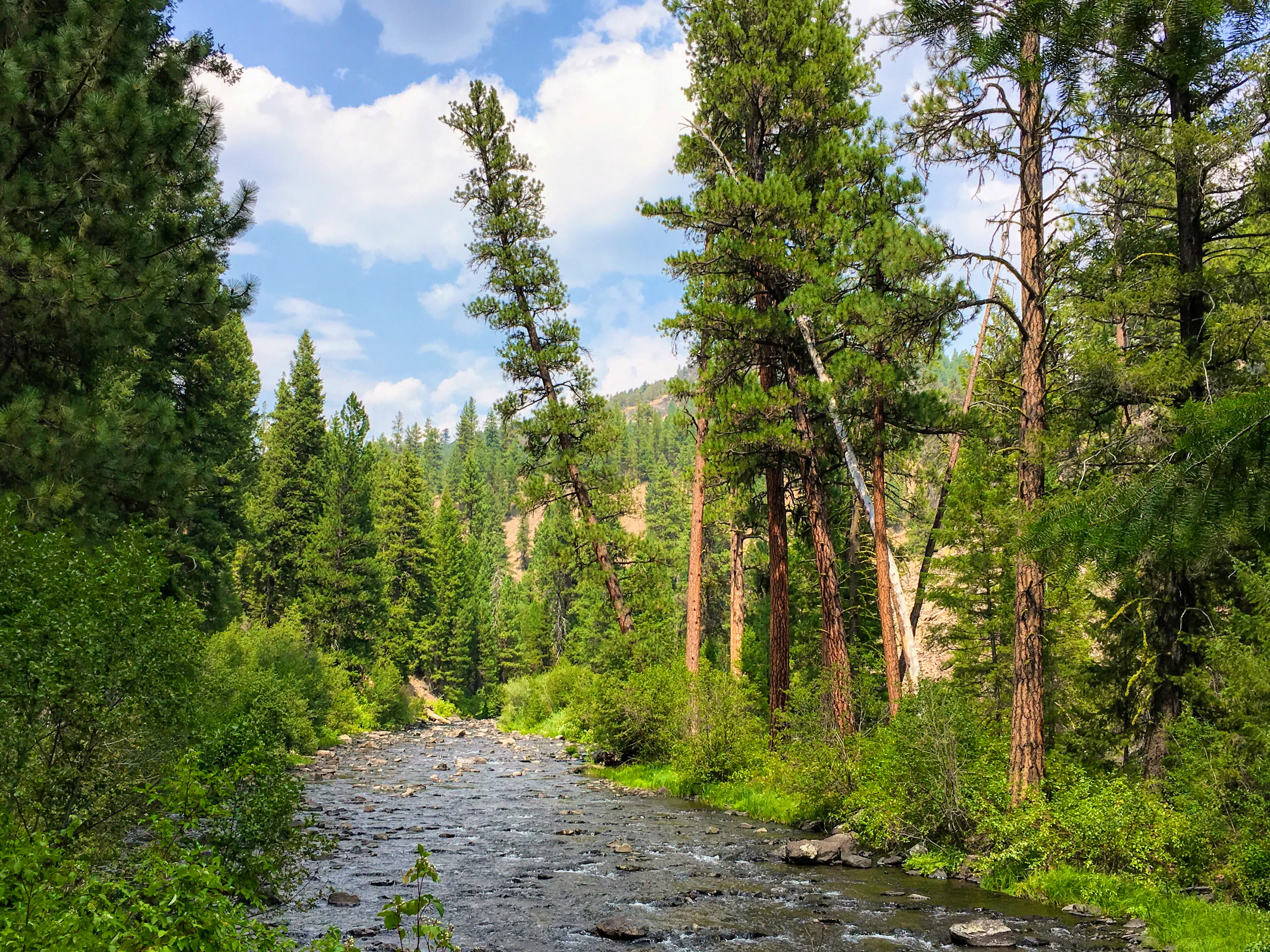 Malheur River