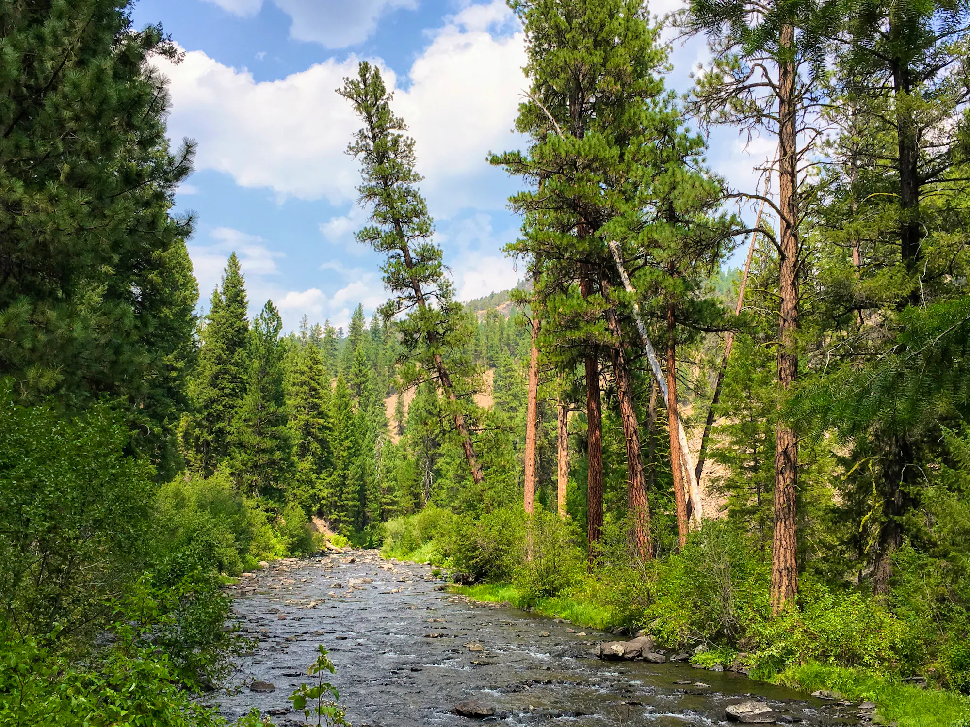 Malheur River
