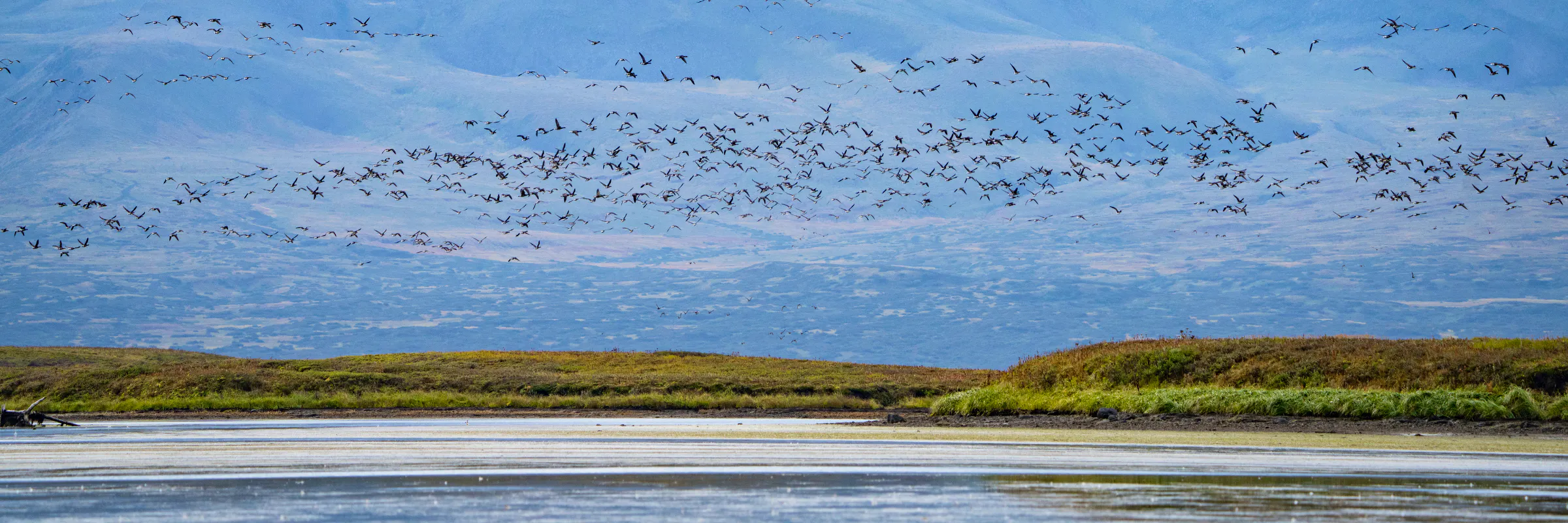 Aerial View of Izembek Lagoon 