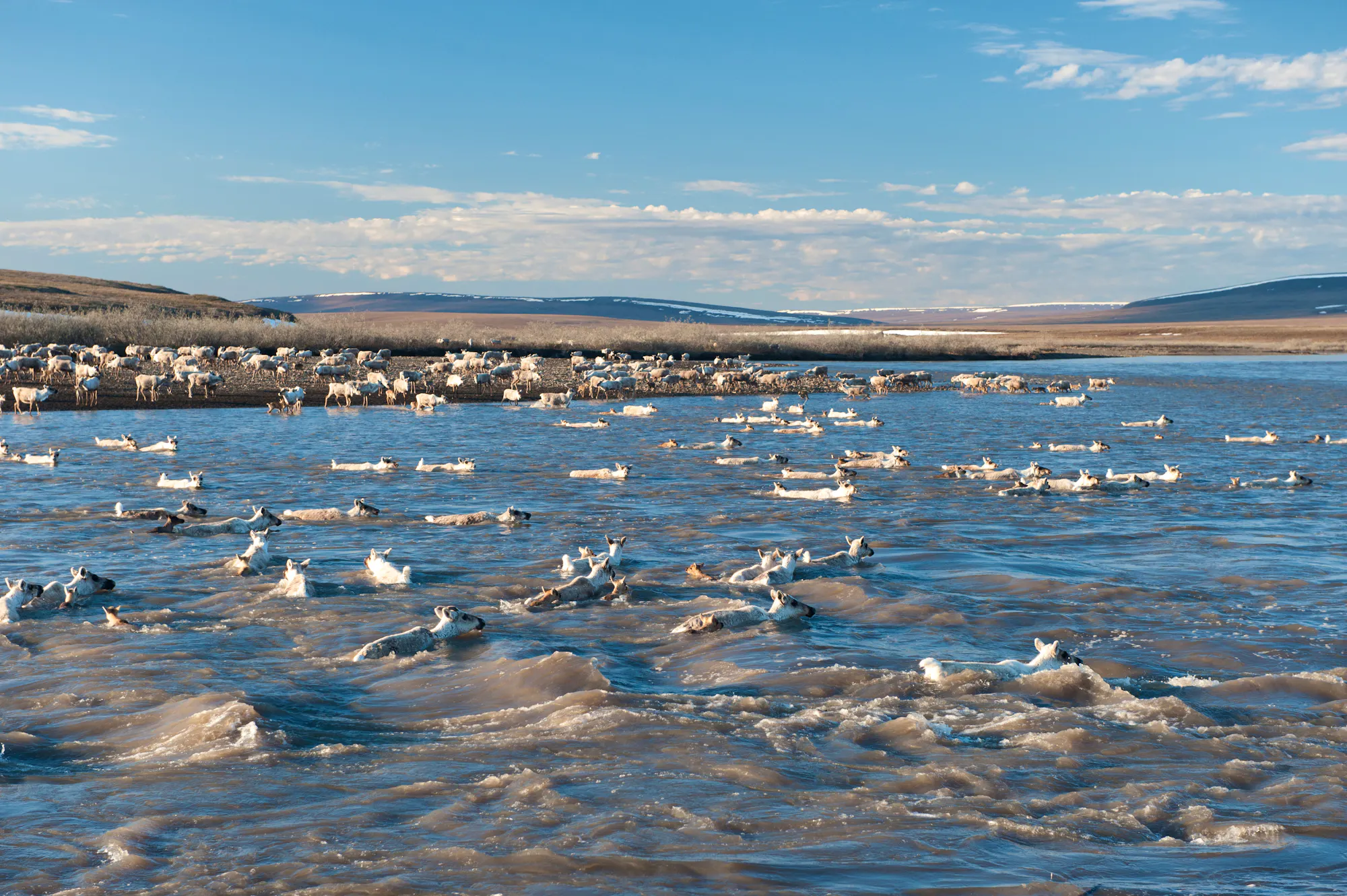 Caribou Crossing River