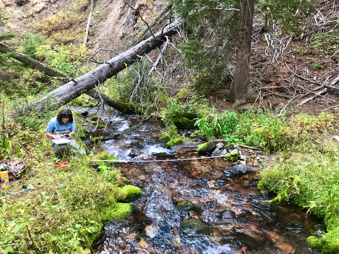 Calculating streamflow on the Salmon-Challis National Forest in Idaho.  
