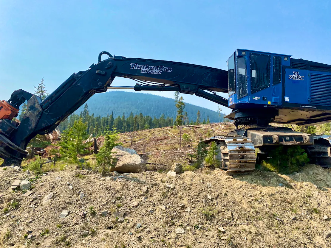 Feller buncher used in logging on a national forest.  