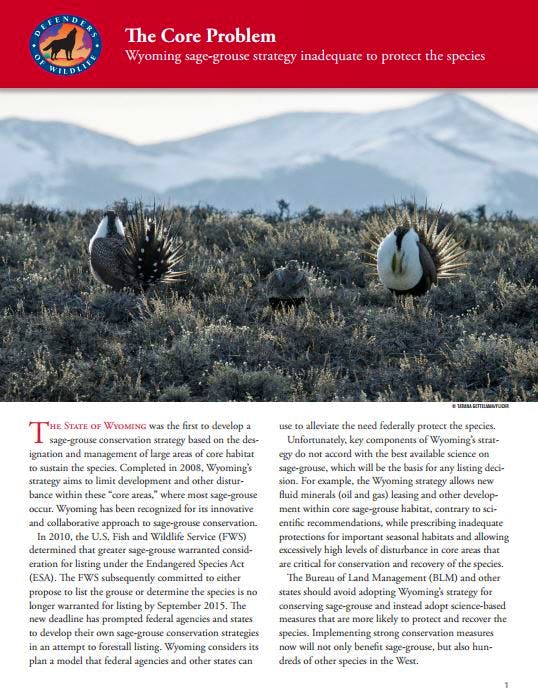 © Defenders of Wildlife © Defenders of Wildlife