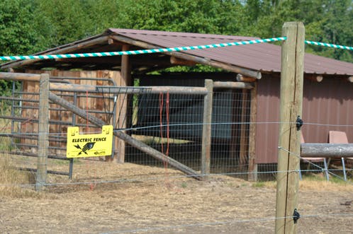Electric fence, © Defenders of Wildlife