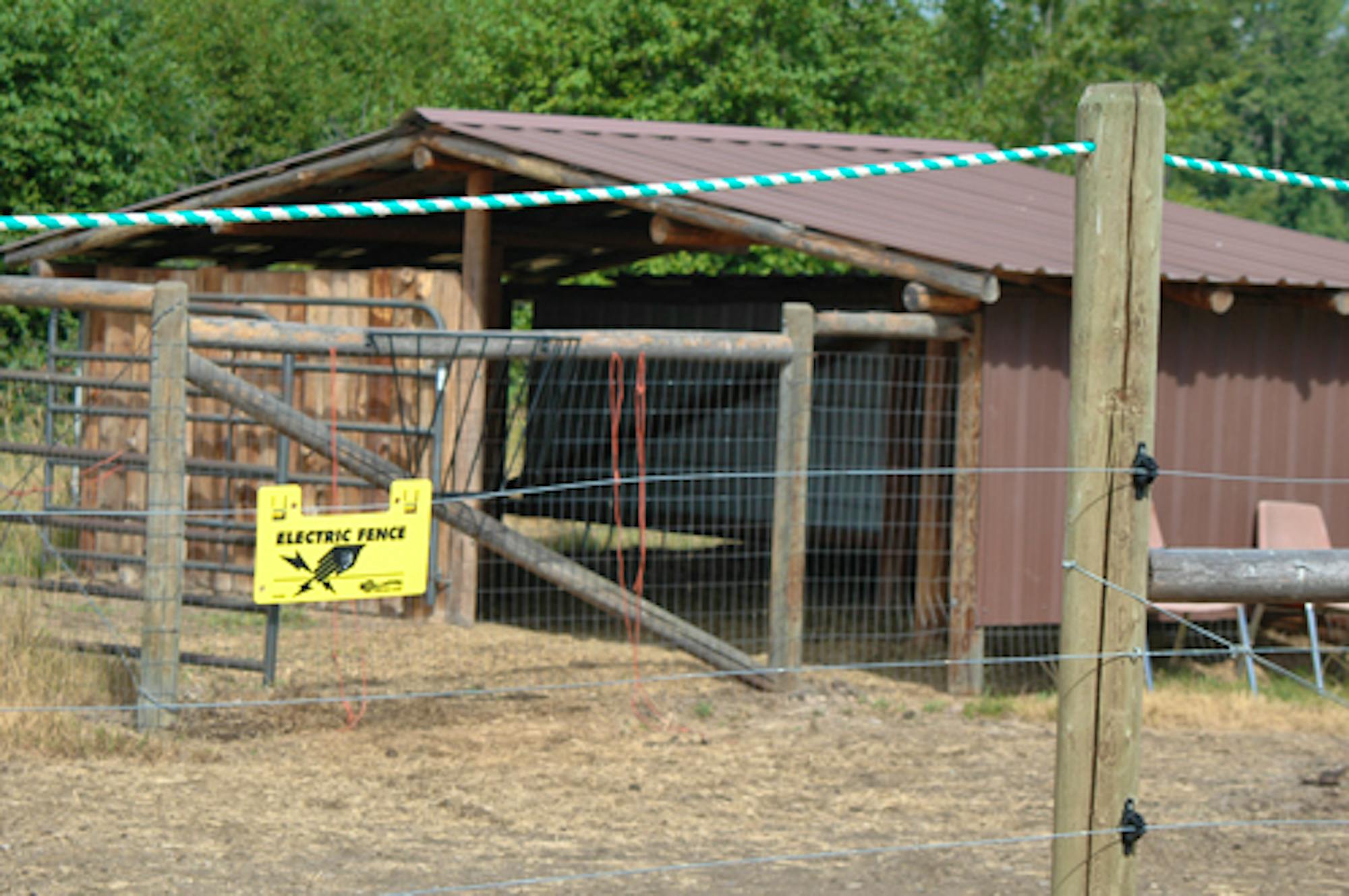 Electric fence, © Defenders of Wildlife