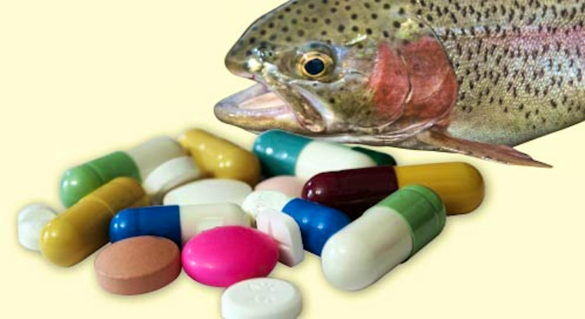 fish and pills