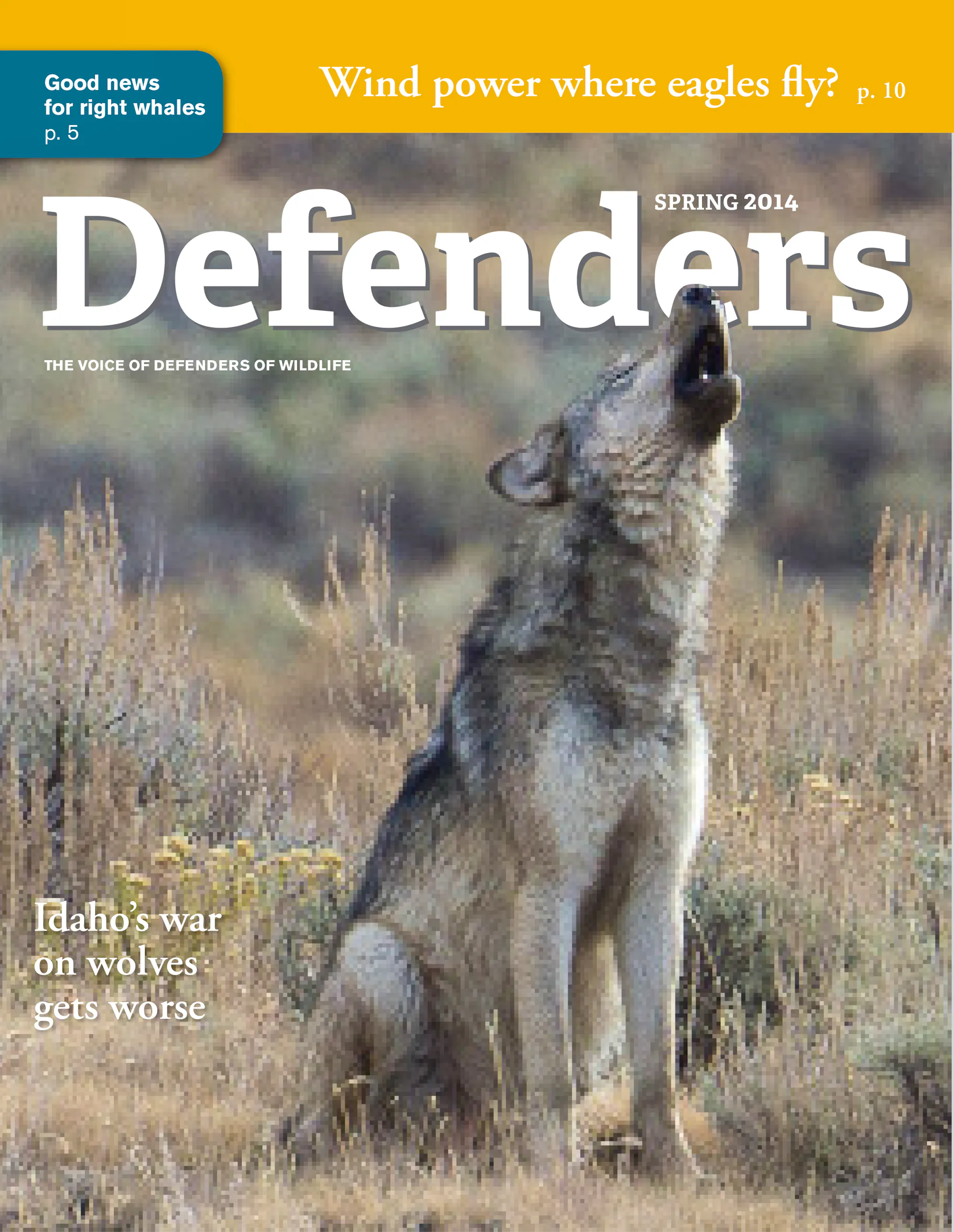 Past Magazine Issues | Defenders of Wildlife