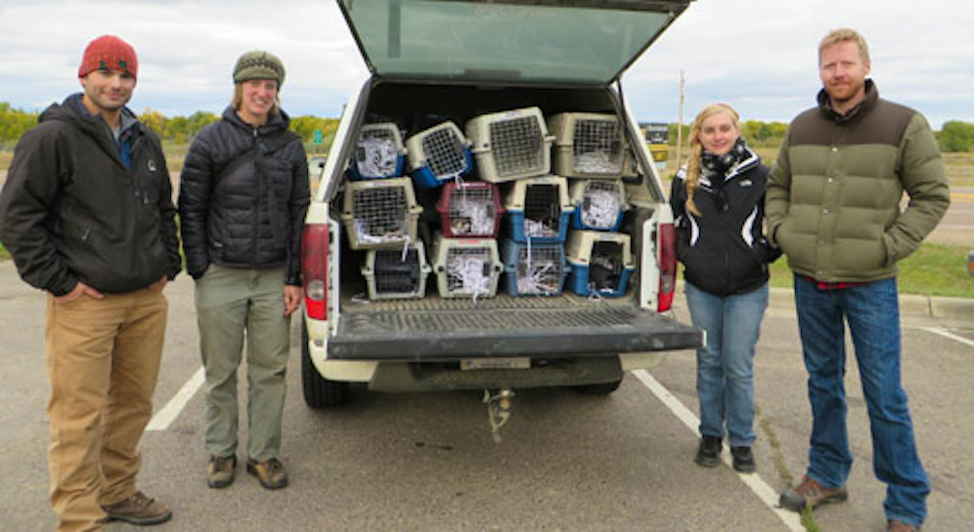 Defenders' staff get ready to release black-footed ferrets. From left: Russ Talmo, Kylie Paul, Charlotte Conley and Jonathan Proctor, Photo: Kylie Paul/DOW