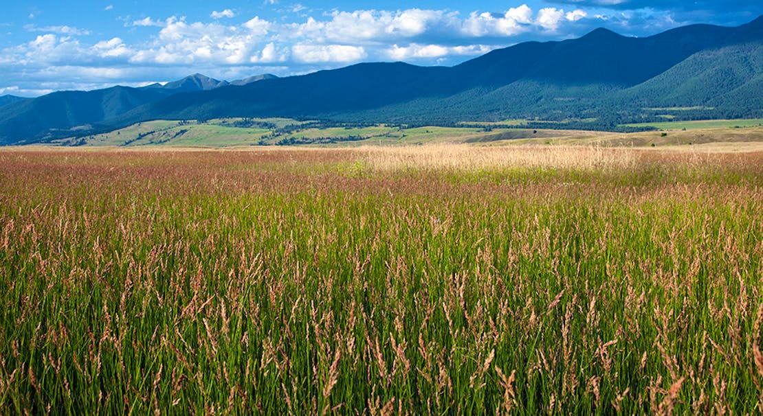 northern-plains-mt-john-ruth