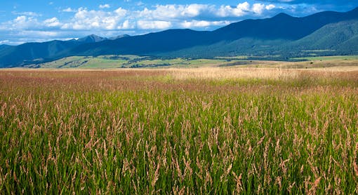 northern-plains-mt-john-ruth