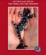 Section 4(D) Rules: The Peril and the Promise