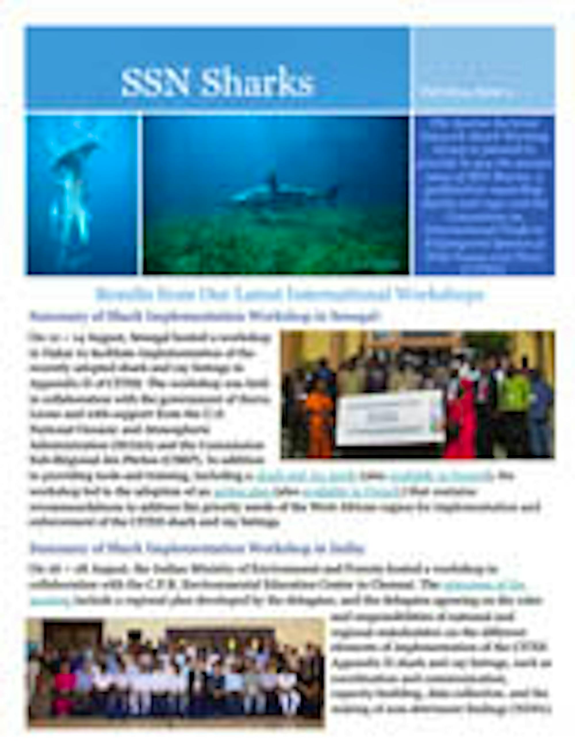 SSN Shark Newsletter Fall 2014